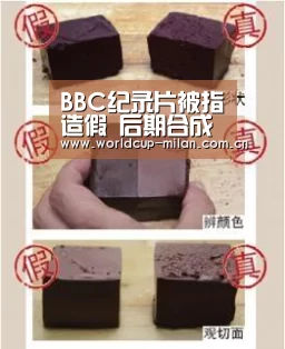 BBC纪录片被指造假 后期合成火山喷发画